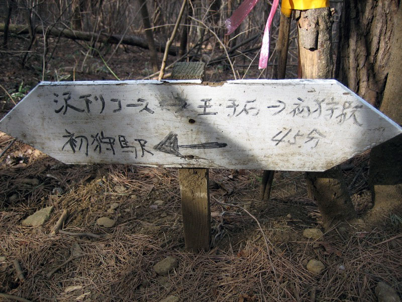 高川山